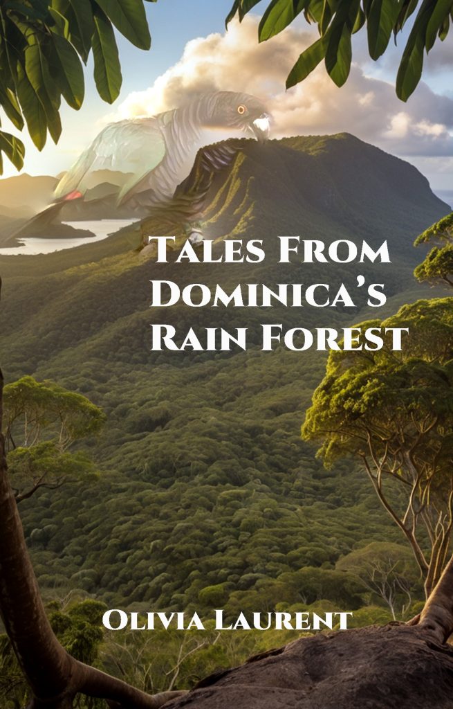 Tales from Dominica's Rainforest